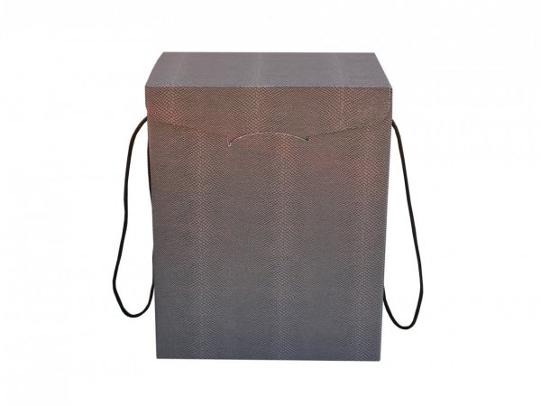 Cutie maro inalta cu manere 280X200X350 mm