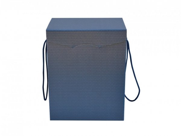 Cutie albastra inalta cu manere 280X200X350 mm