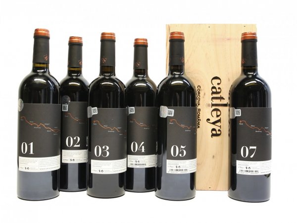 Verticala Vinuri Epopee Domeniul Catleya