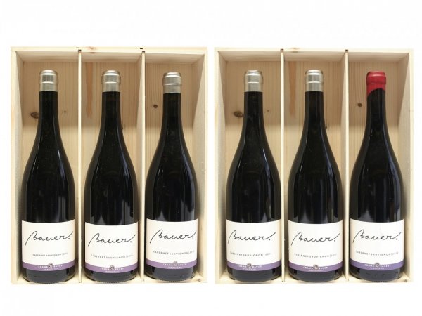 Verticala Vinuri Cabernet Sauvignon Bauer 6