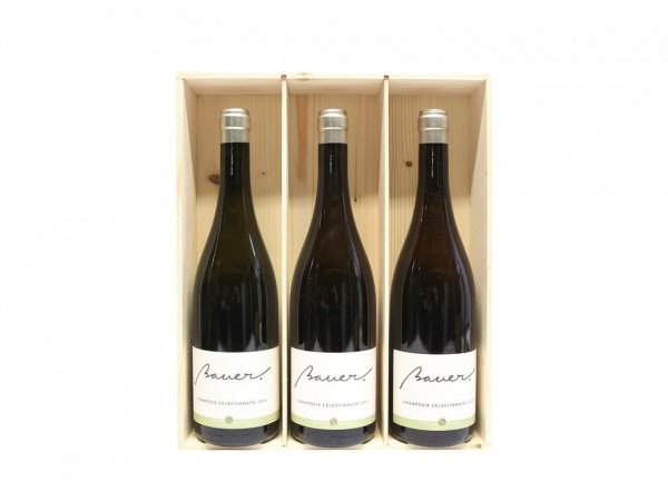 Verticala vinuri Cramposie Selectionata Bauer 16/17/18