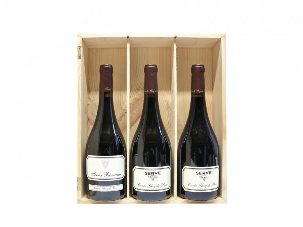 Verticala vinuri Guy de Poix Serve 3