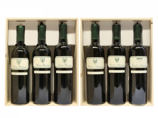 Verticala Vinuri Cuvee Amaury Serve 6