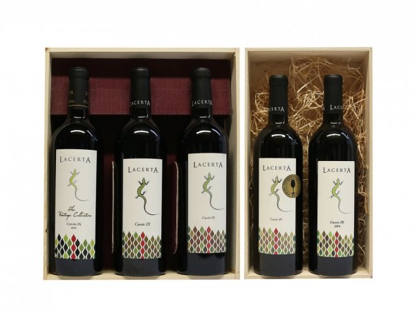 Verticala 5 Vinuri Cuvee IX Lacerta