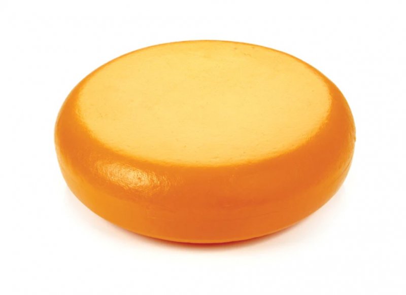 CHEESE REPLICA - ROATA BRANZA DIN PLASTIC L