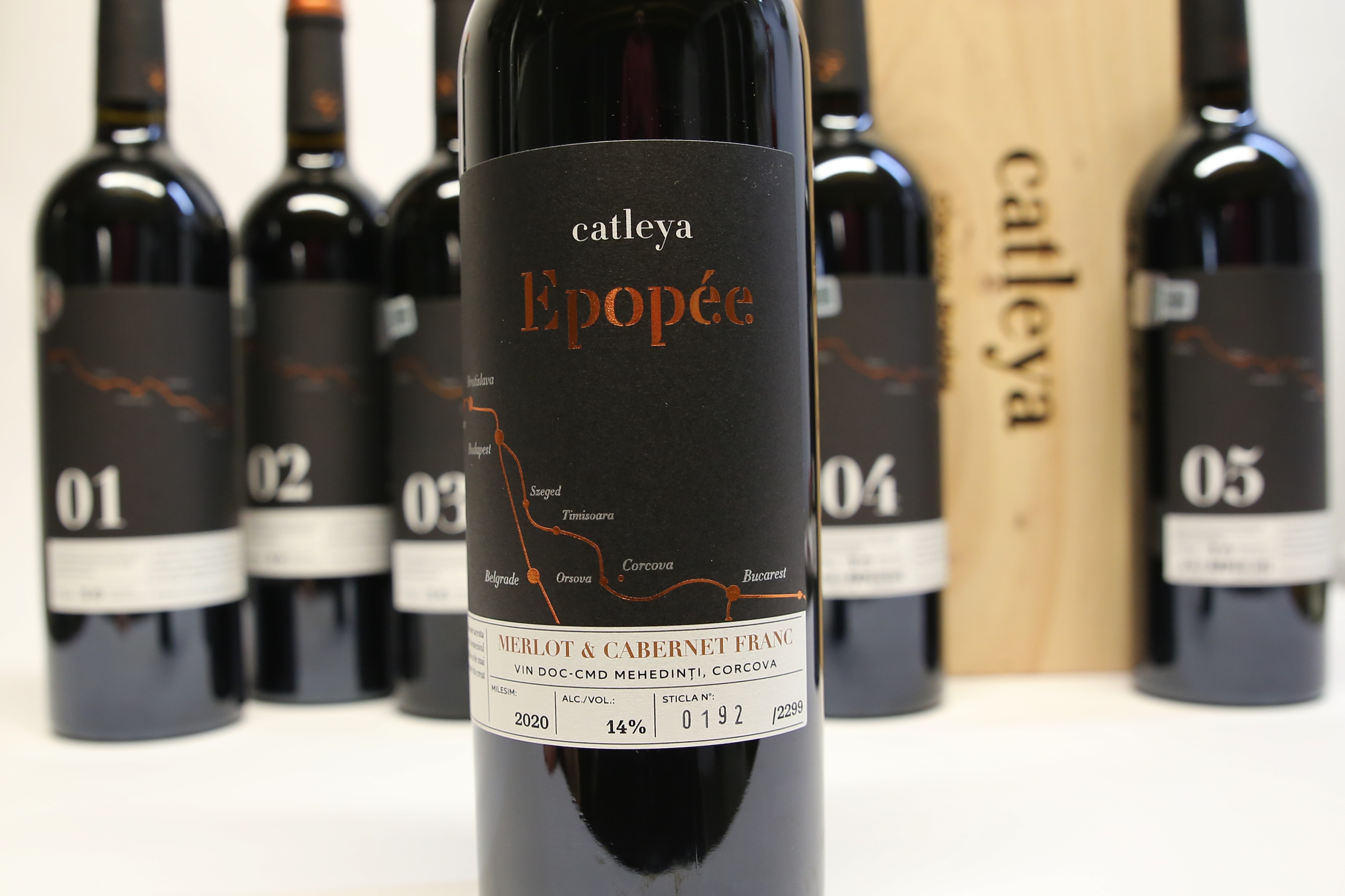 Epopee vin Catleya (6)