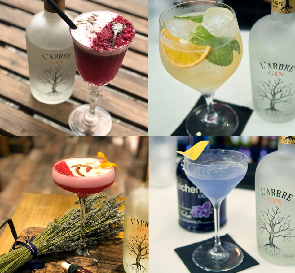 gin larbre